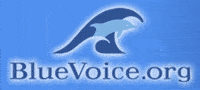 Bluevoice